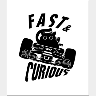 Funny Fast & Curious Pilot Cat Posters and Art